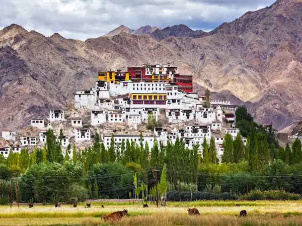 Leh
